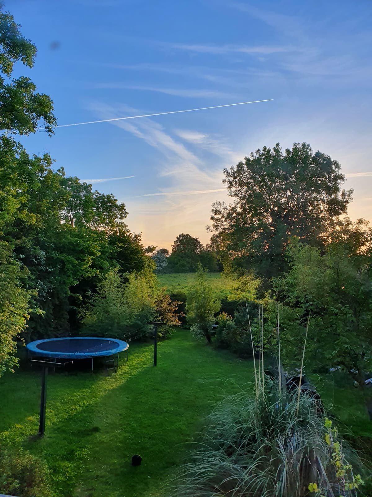 De tuin in de avond met trampoline